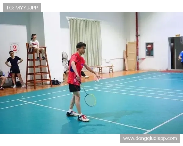 星辰体育平台下载用户指南，帮助用户全面了解平台功能与操作技巧